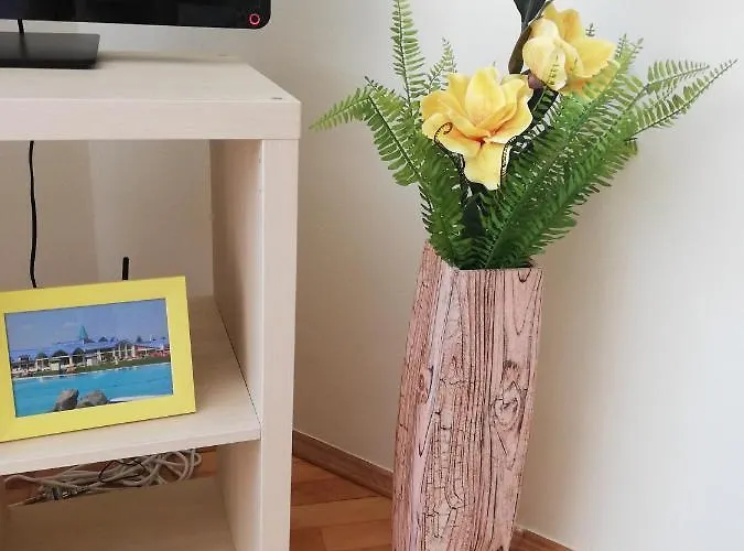 Newisland Family Sárvár